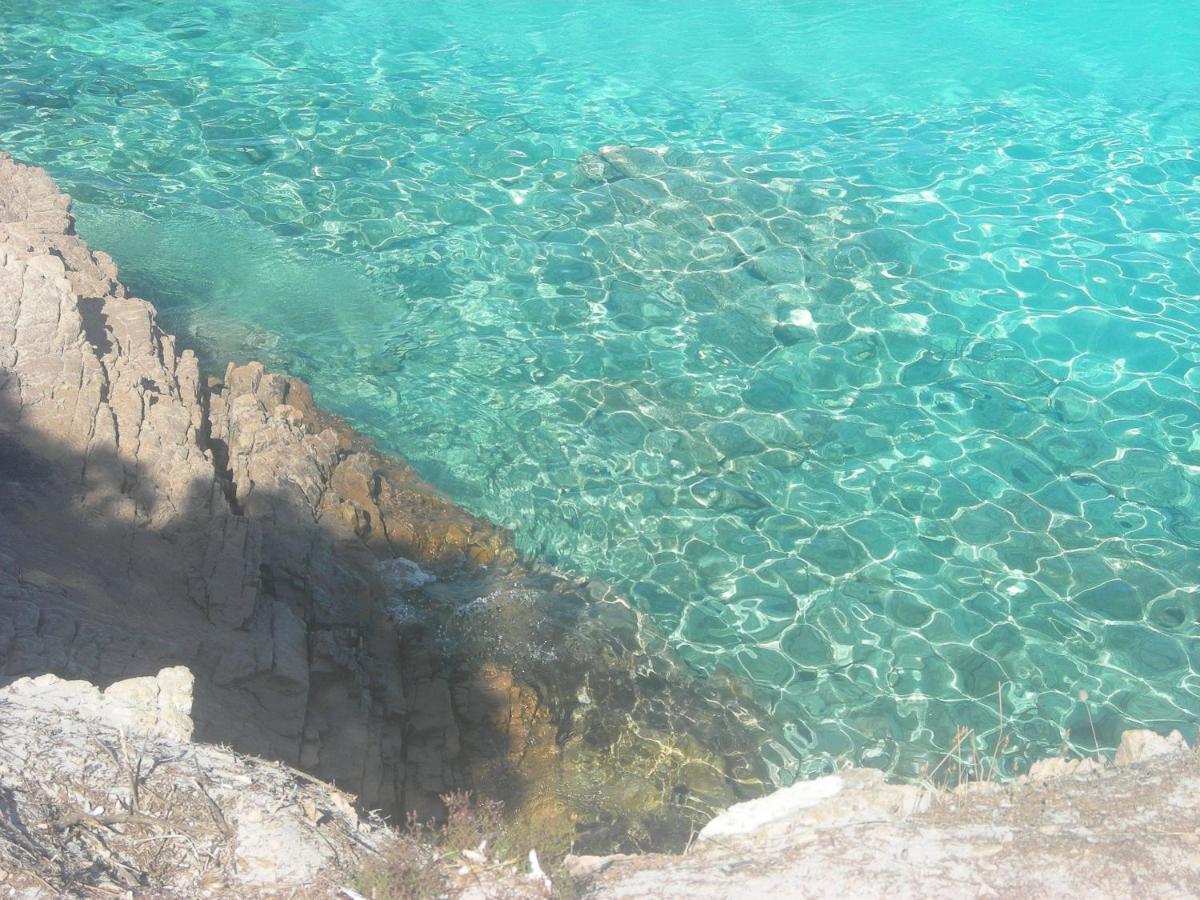 Tempio Olbia