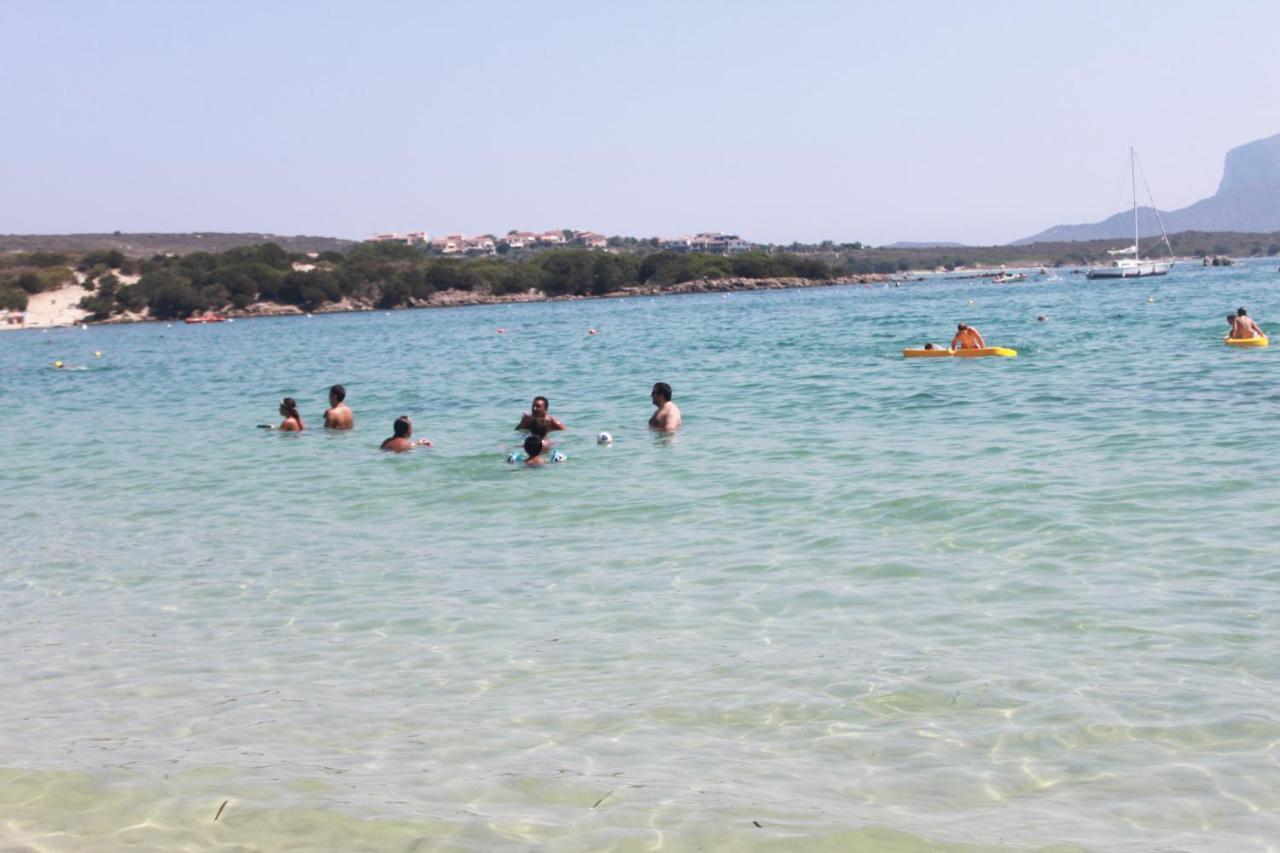 Tempio Olbia